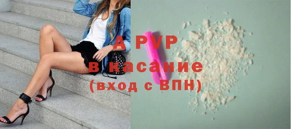 прущие грибы Беломорск