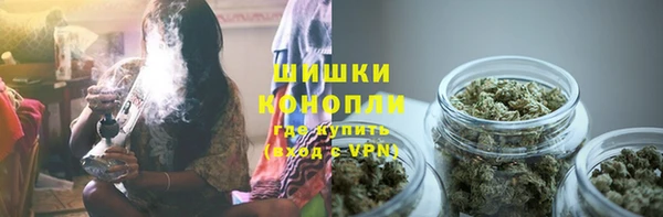 стафф Богородицк