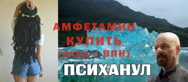 прущие грибы Беломорск