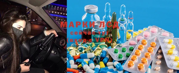 амфетамин Белокуриха