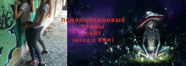 амфетамин Белокуриха