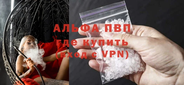 прущие грибы Беломорск