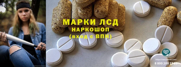 прущие грибы Беломорск