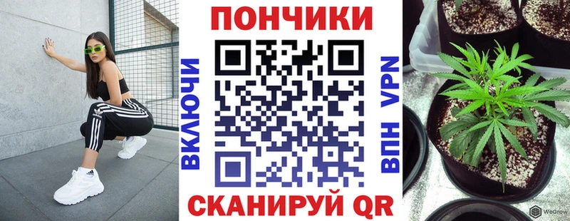 Конопля ГИДРОПОН  где купить   Белёв 